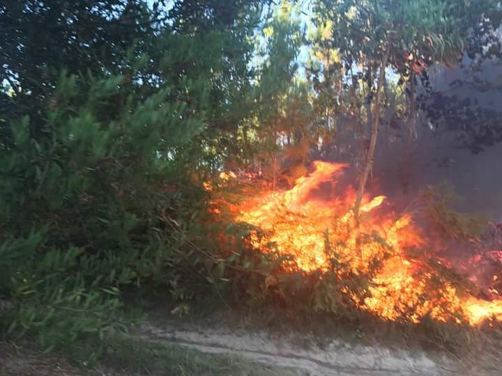 PJ deteve homem de 50 anos que ateou fogo em Alvarães com fósforos por vingança e alcoolizado