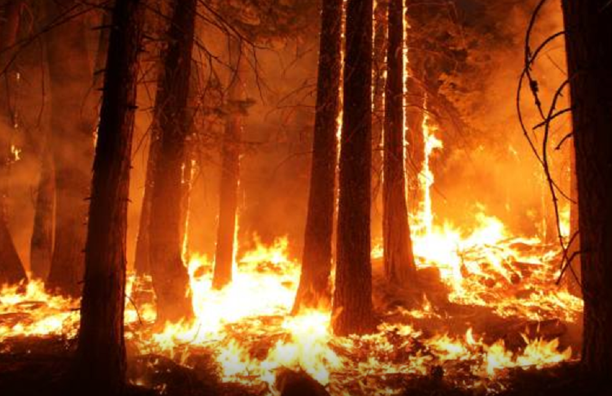 Fogo obriga à evacuação de aldeia de Melgaço – Proteção Civil Municipal