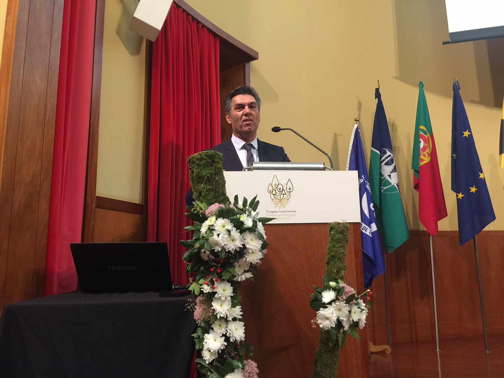 Planos Regionais de Ordenamento Florestal prontos em 2018