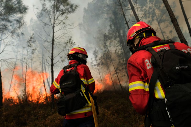 Proteção Civil de Monção continua a recolher alimentos para animais de freguesias afetadas pelo fogo