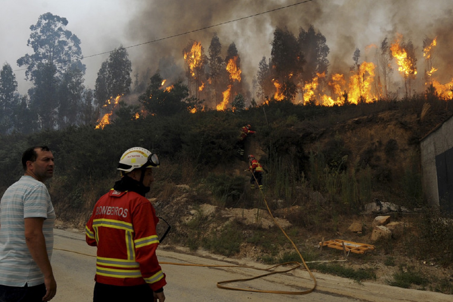 Grupo de jovens de Viana vai ajudar populações de zonas afetadas pelos incêndios