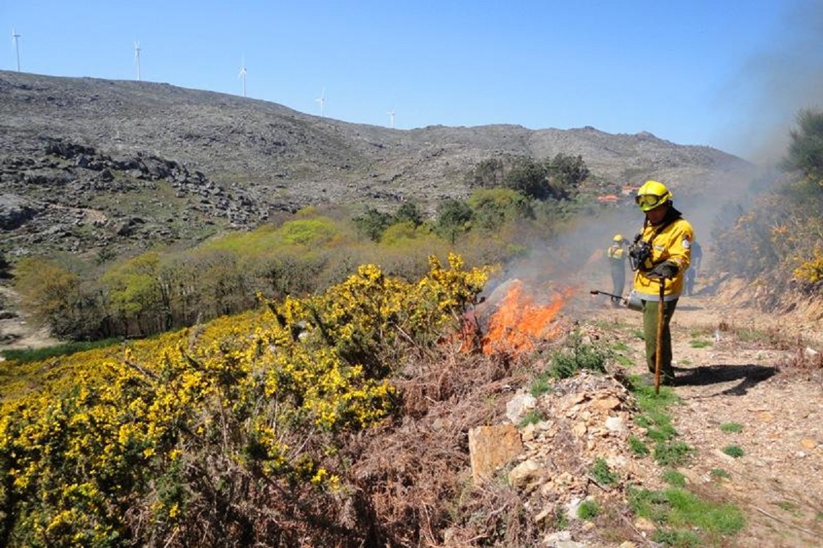 Aldeia de Arga de São João alvo de ações de fogo controlado