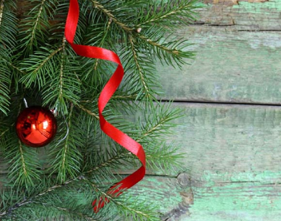 Pinheiros de Natal disponíveis no mercado de Viana