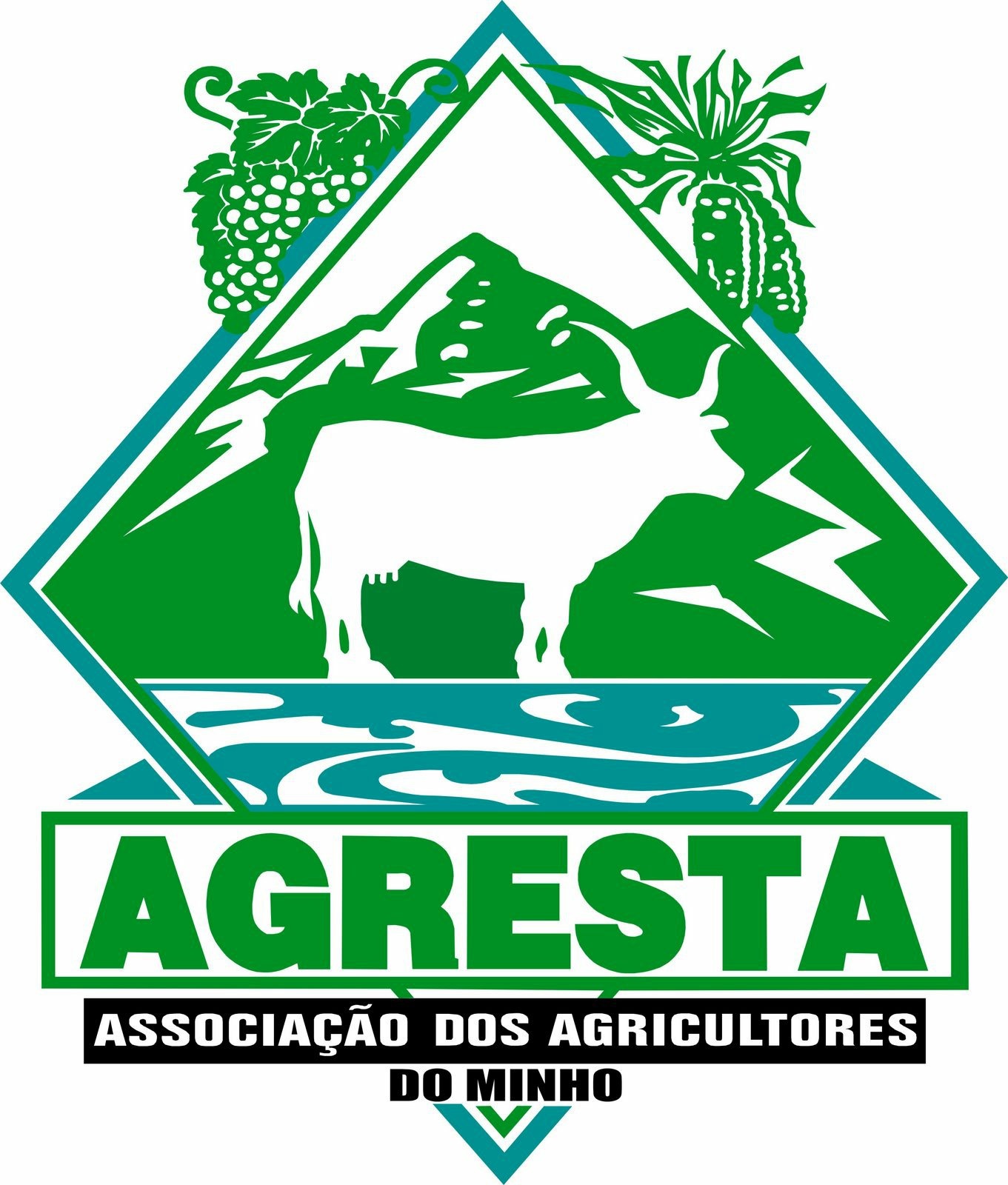 Monção: Três meses depois dos incêndios agricultores alertam para “aproveitamentos”