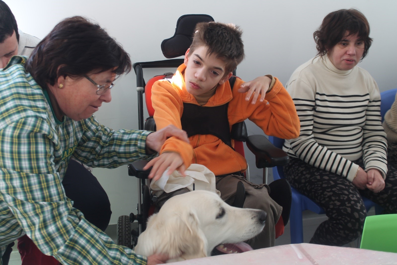 Cães vão ajudar crianças com necessidades educativas de Caminha a atingir sucesso escolar