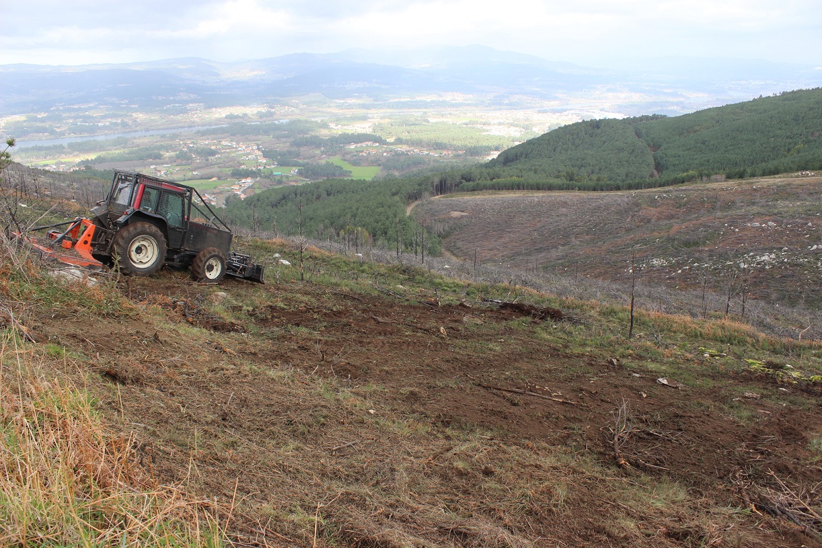 Vila Nova de Cerveira investe 50 mil euros para limpar 37 hectares de floresta