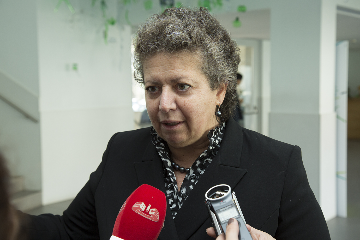 Ministra do Mar lança concurso de acessos ao porto de Viana até junho e quer ver obra em 2019