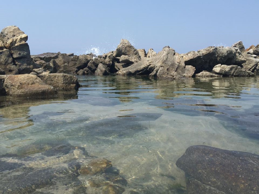 Nove praias de Viana galardoadas com bandeira “Qualidade de Ouro”