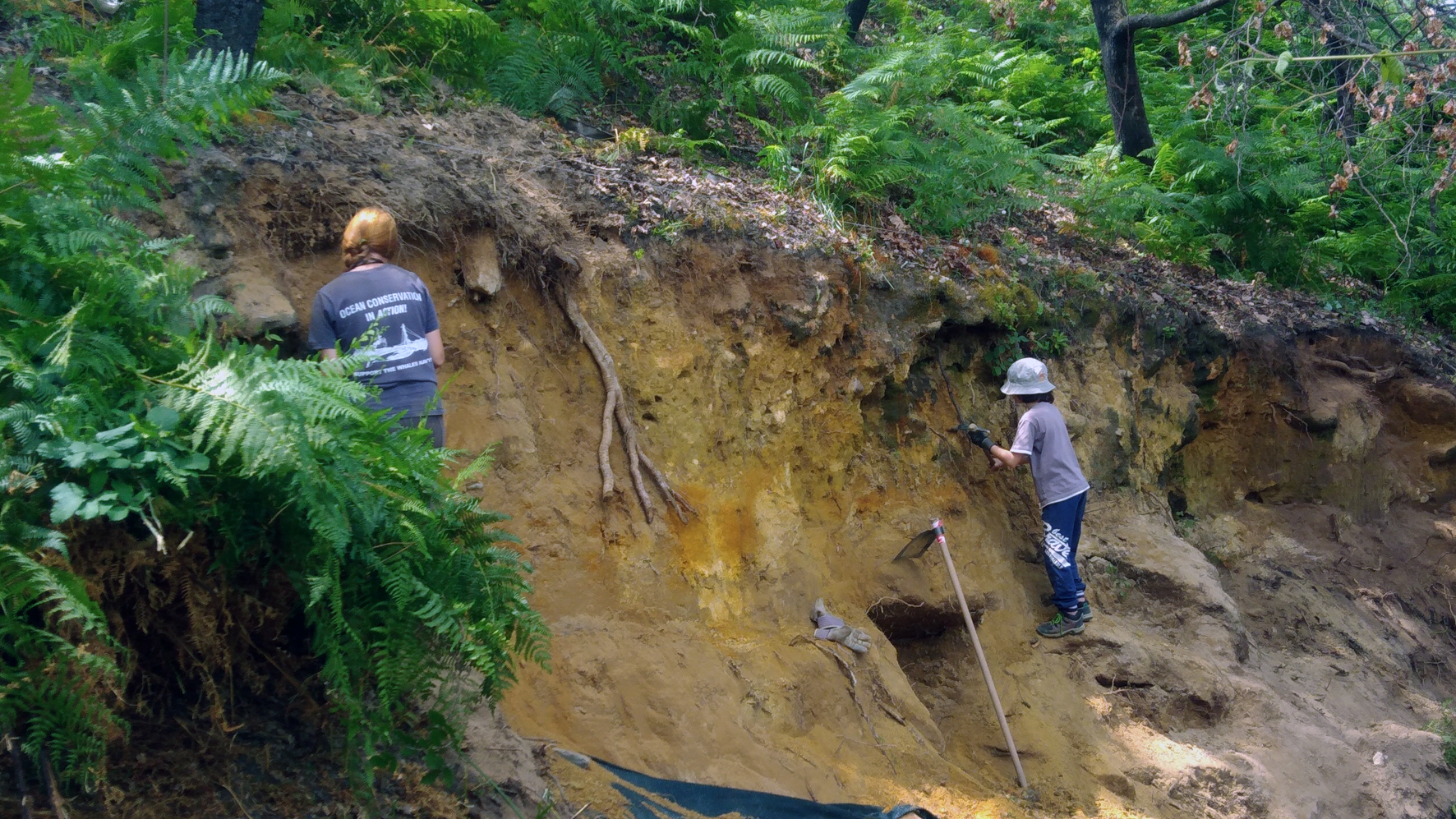 Escavações em Monção põem a descoberto “dezenas” de artefactos com milhares de anos
