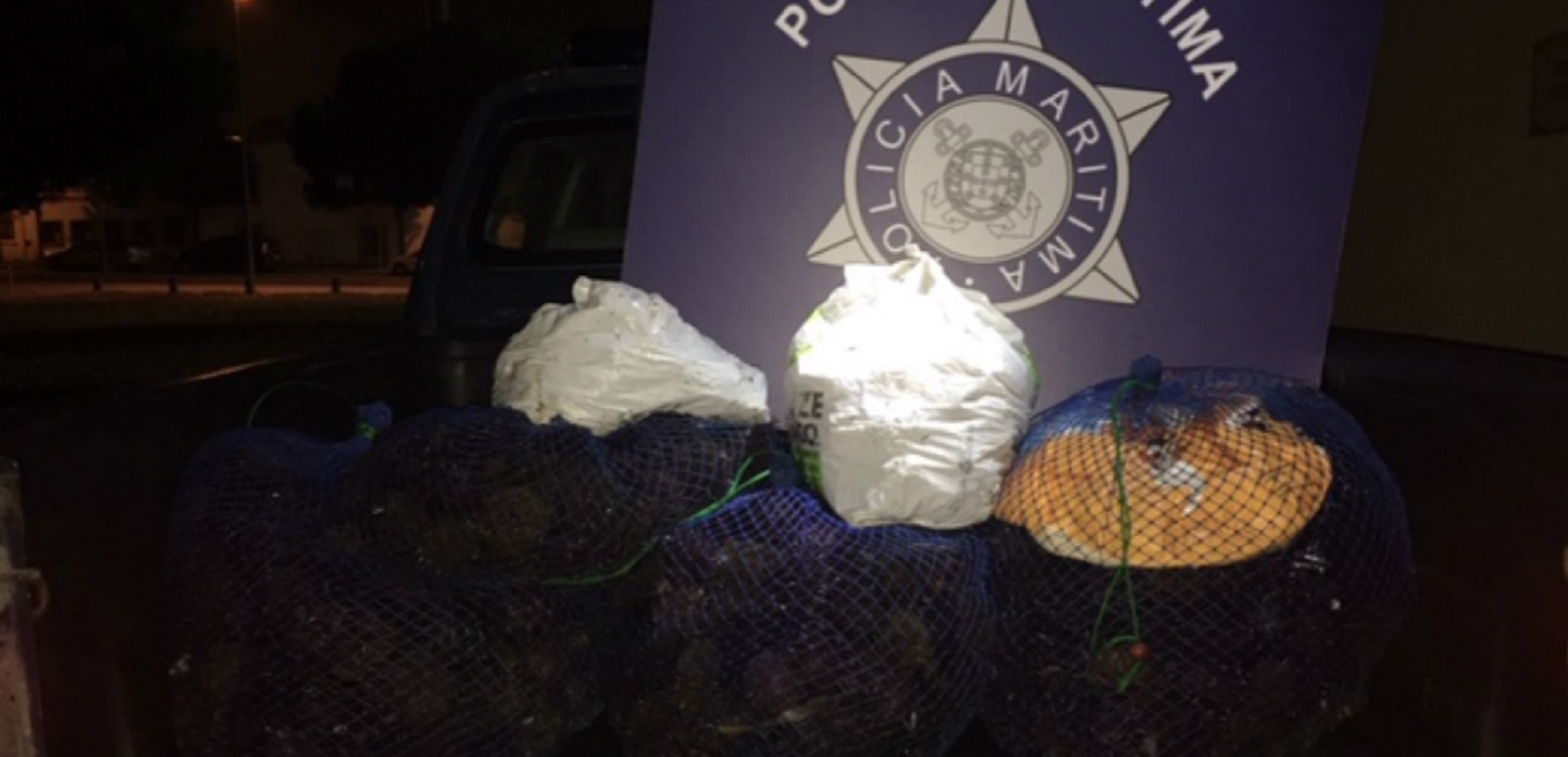 Polícia Marítima de Viana apreende 200 quilos de ouriços-do-mar