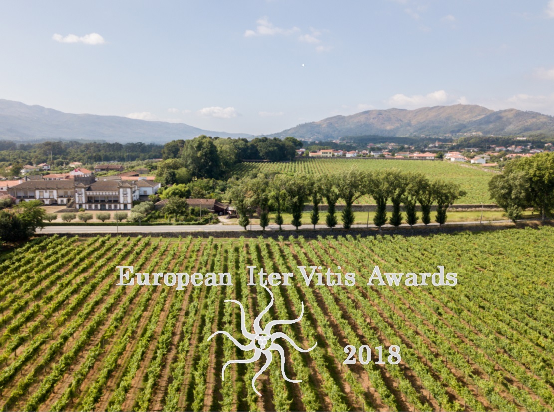 Ponte de Lima nomeado para a final do Prémio Iter Vitis Award 2018