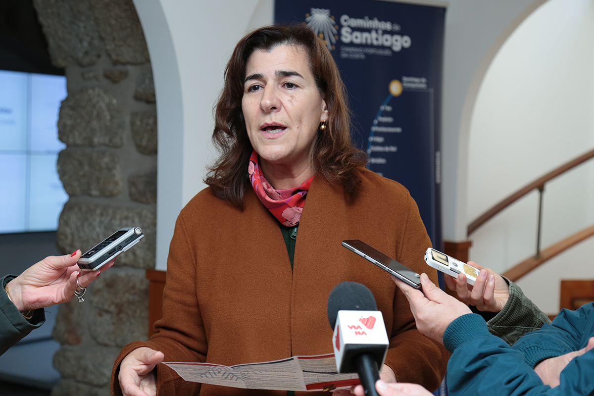 Razões ambientais impedem maior árvore natural da Europa de brilhar no Natal de Viana