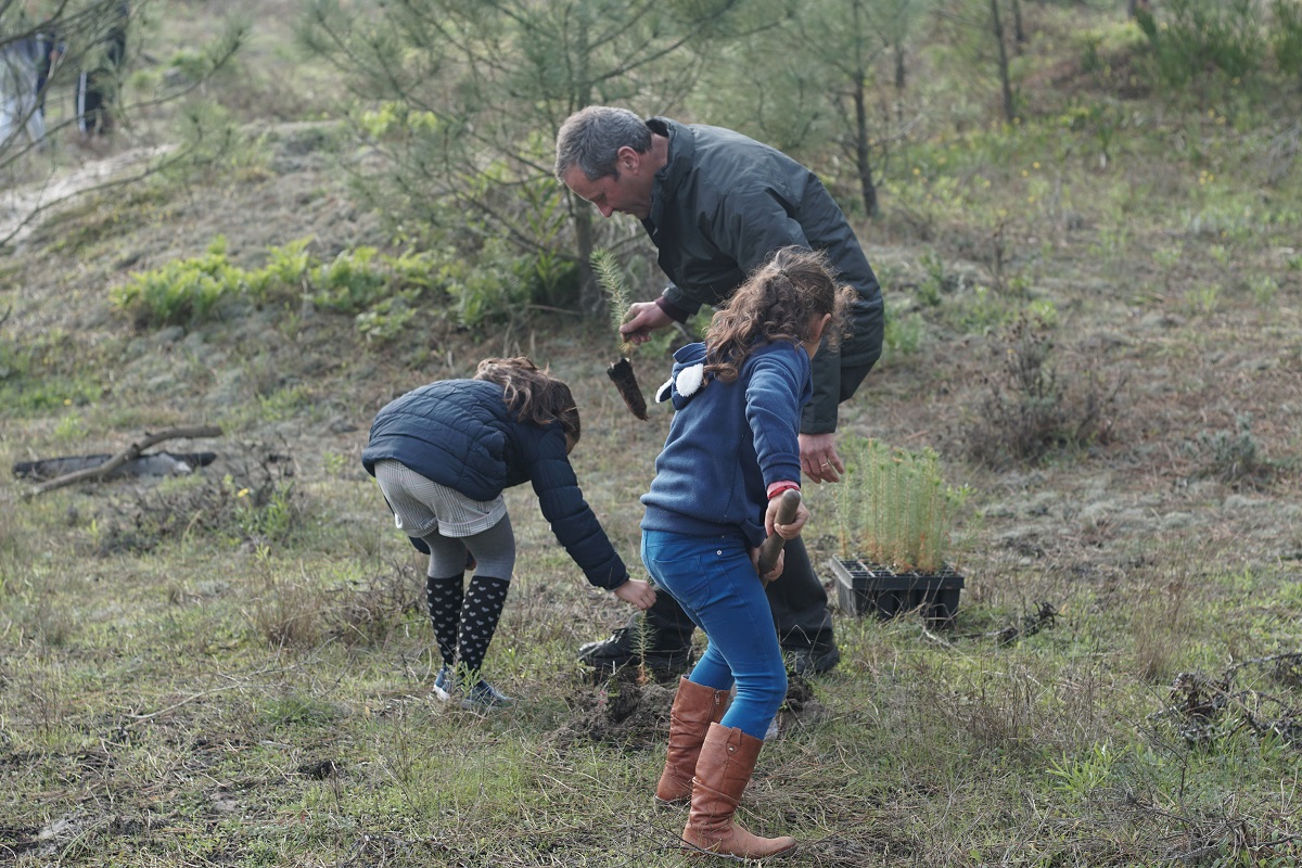 Alunos de Viana iniciam recuperação de 9 mil hectares de monumento naturais do concelho
