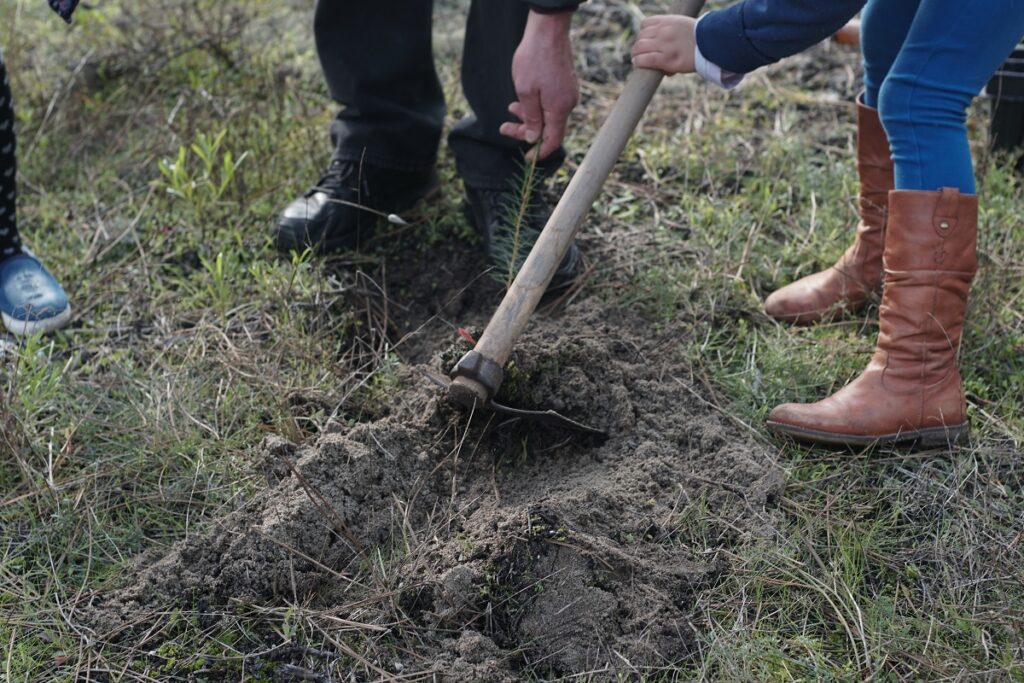 Alunos de Viana iniciam recuperação de 9 mil hectares de monumento naturais do concelho