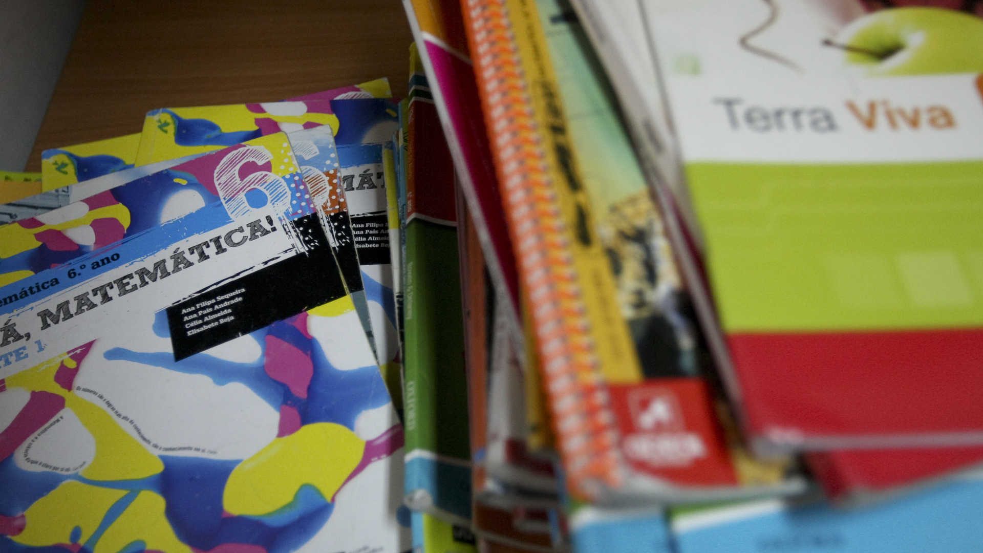 Vinte escolas que mais reutilizem manuais escolares recebem 10 mil euros