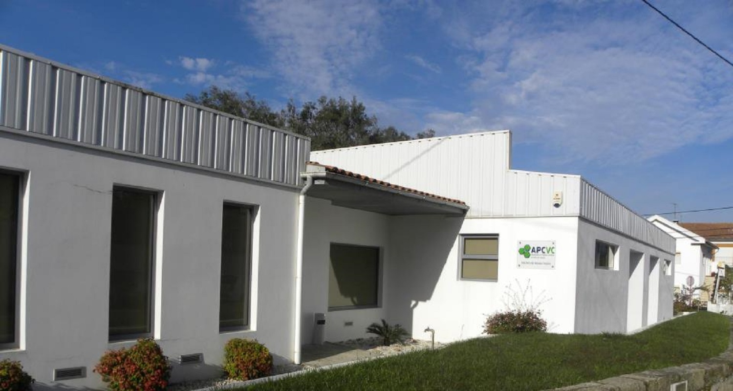 APCVC e Associação Salvador promovem caminhada solidária em Viana