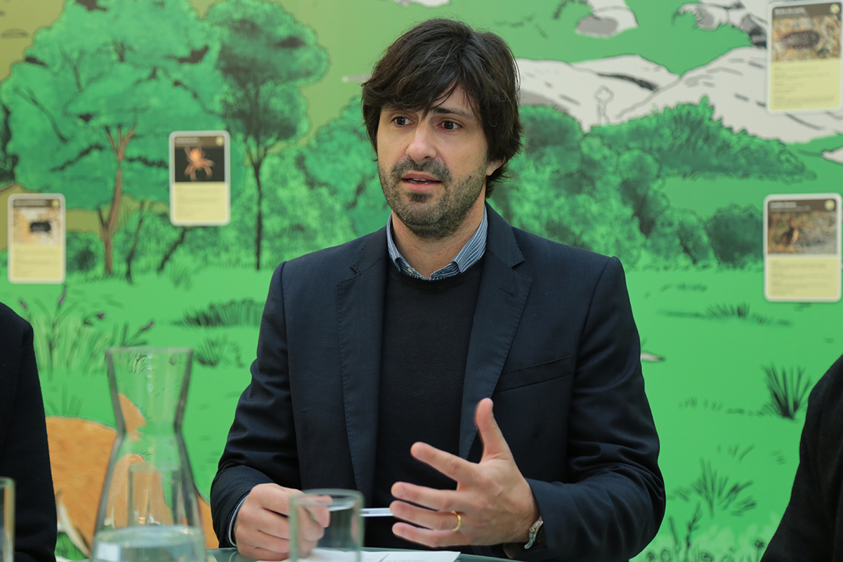 Viana planta 115 mil árvores autóctones em 100 hectares de áreas ardidas e classificadas