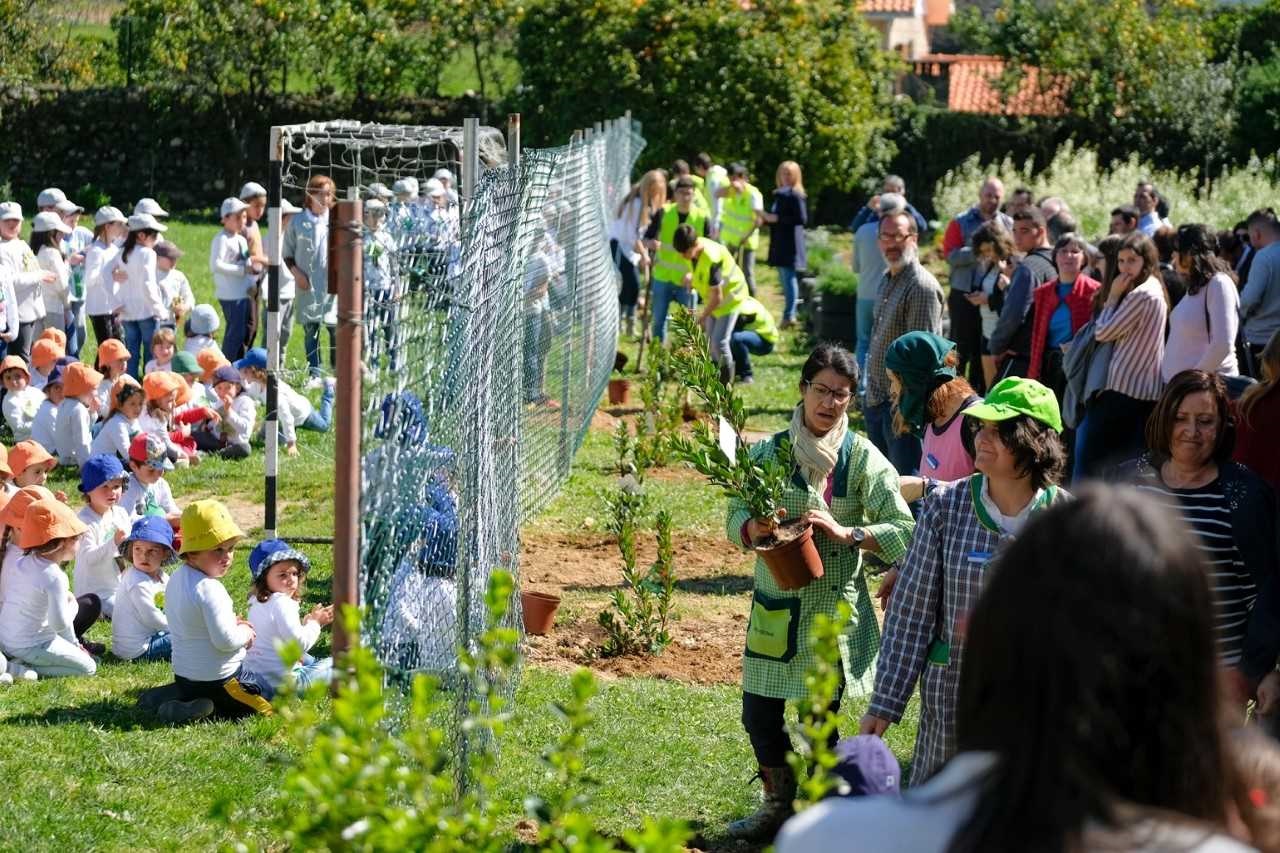 Multinacional francesa do setor automóvel realizou plantação na Escola Básica e Secundária de Arga e Lima