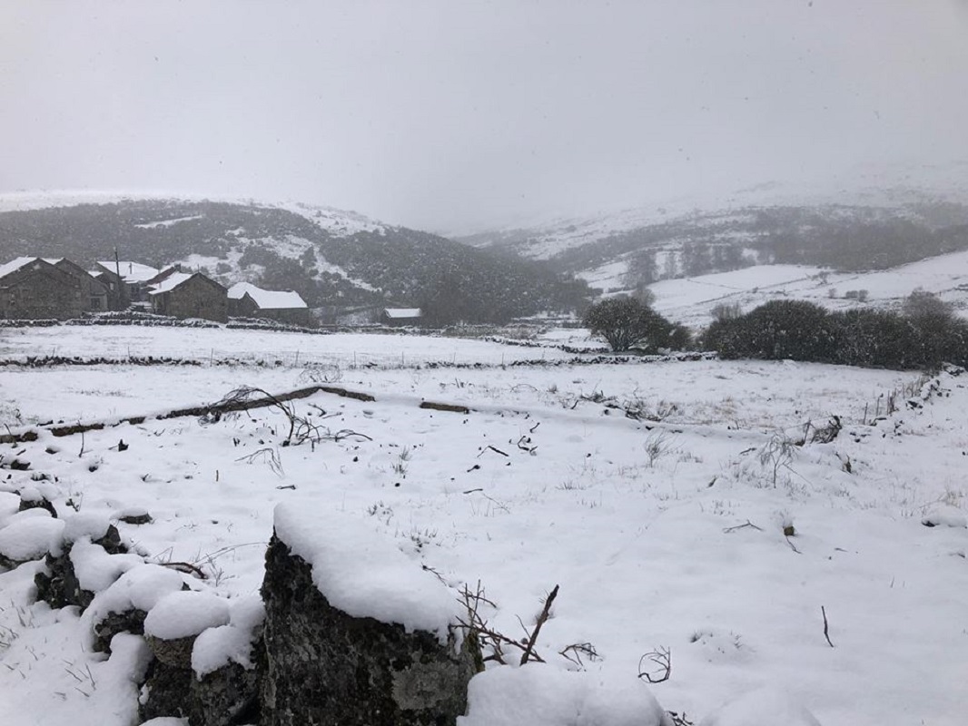 Proteção Civil avisa para situações de chuva, queda de neve e vento
