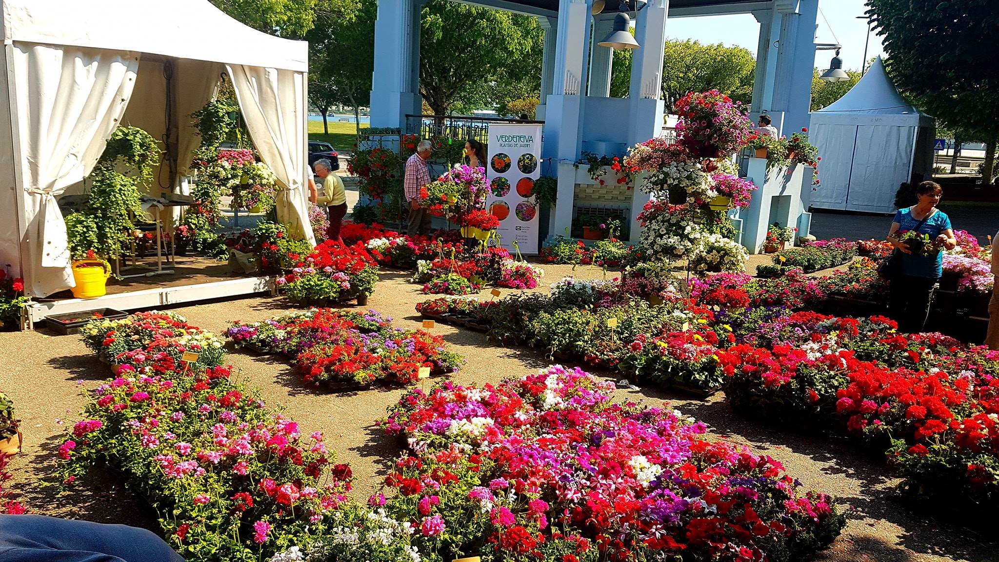 Feira das Flores e Jardinagem decorre de sexta-feira a domingo no jardim público de Viana