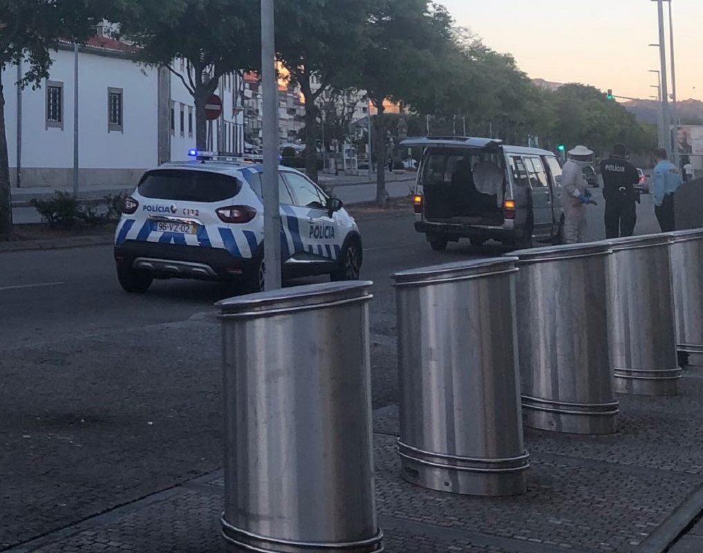 Enxame de abelhas recolhido junto à paragem de autocarros da biblioteca de Viana