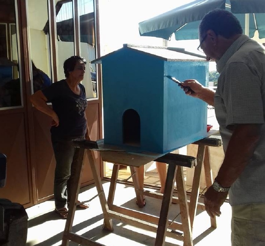 Gatos de Ninguém lança campanha de ‘crowdfunding’ para criar abrigo para 62 animais