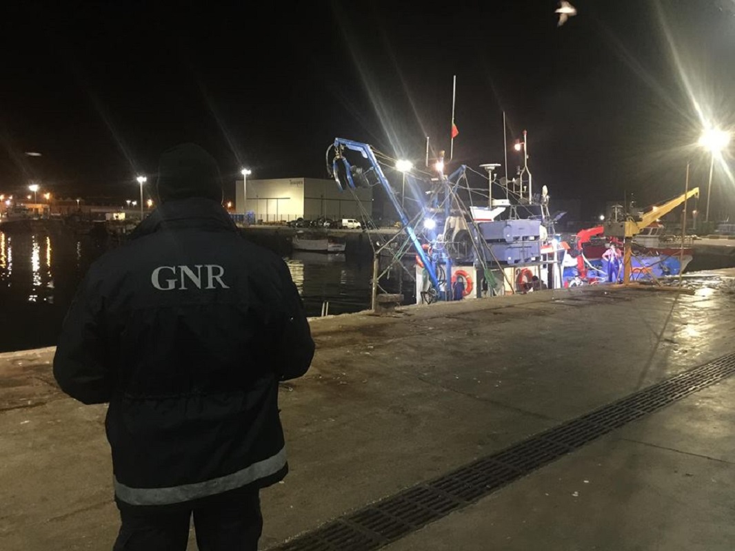 Meio milhão de euros em atum-rabilho apreendido na Doca Pesca de Viana do Castelo