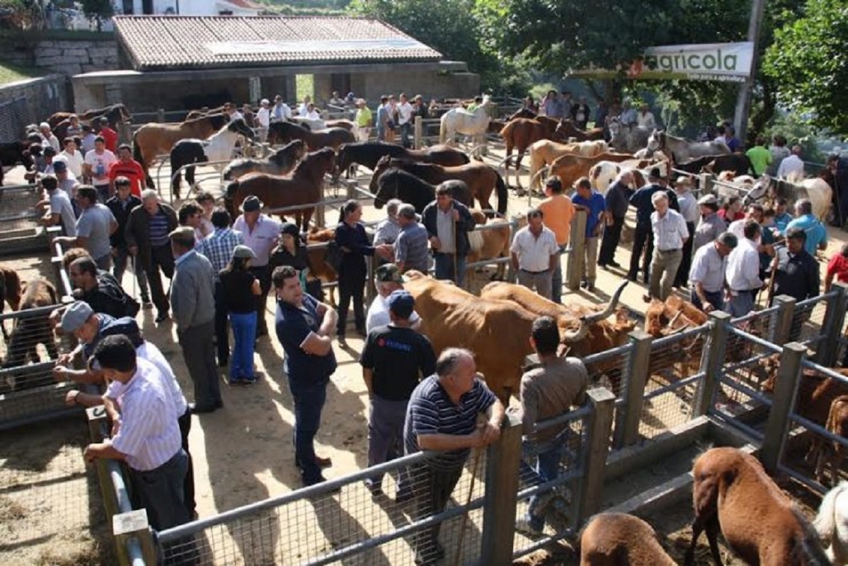 XV feira tradicional de Portela de Alvite decorre no fim de semana