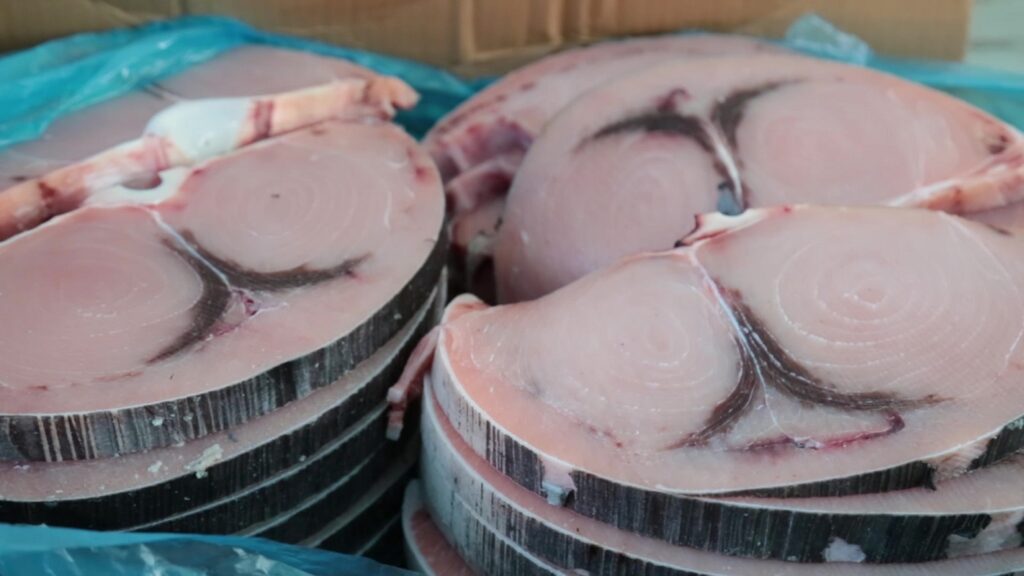 Esparguete de espadarte é a novidade da edição 2019 de festival gastronómico que começa hoje em Vila Praia de Âncora