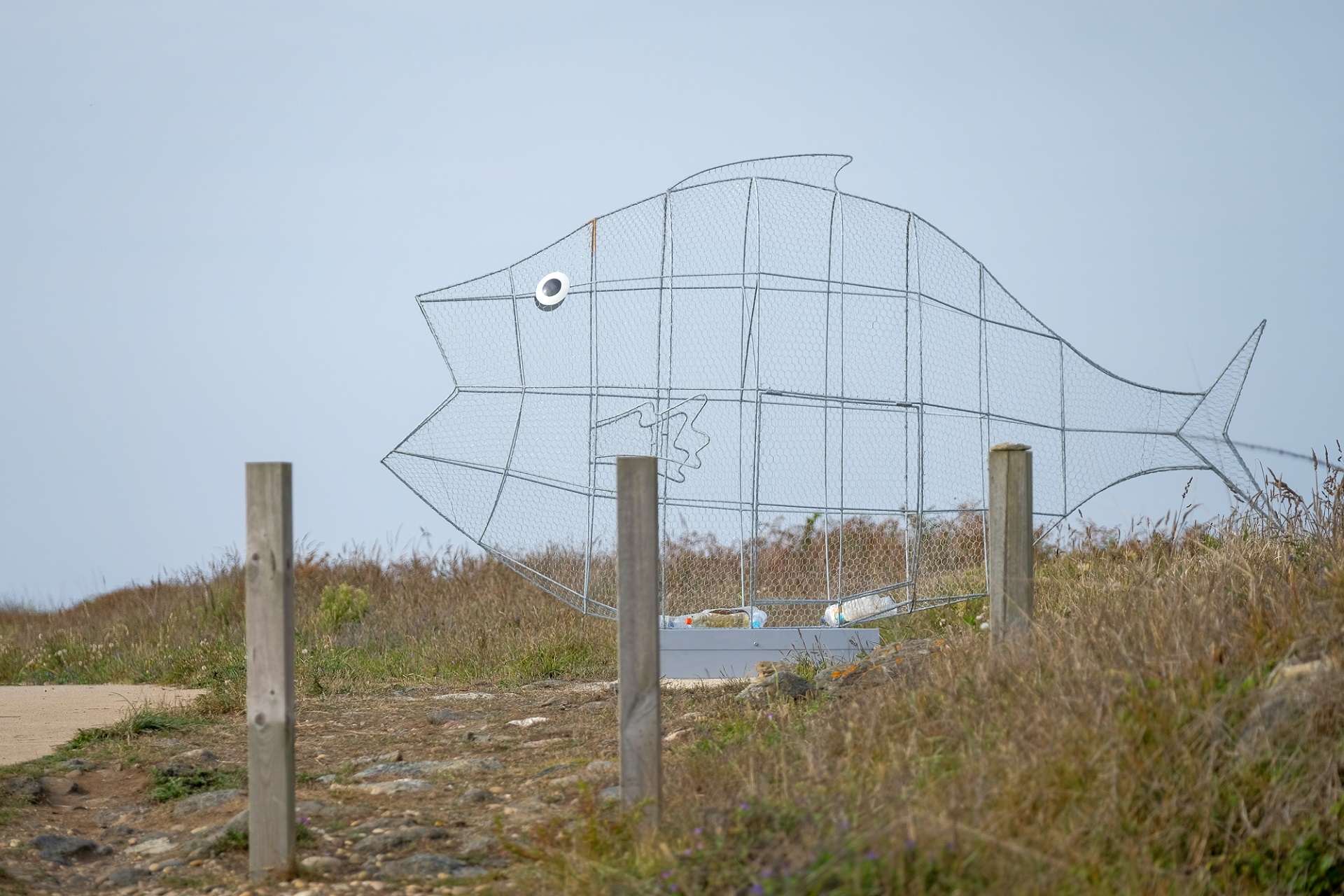 Troço de Areosa da Ecovia do Litoral Norte tem dois “peixes” gigantes que recolhem resíduos