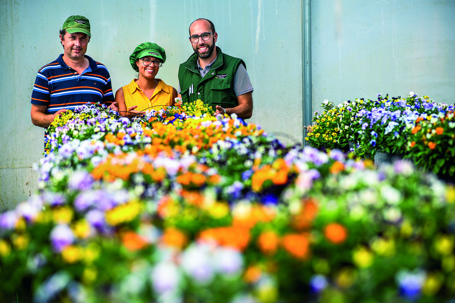 Aromáticas Vivas é pré-finalista do Prémio Intermarché Produção Nacional