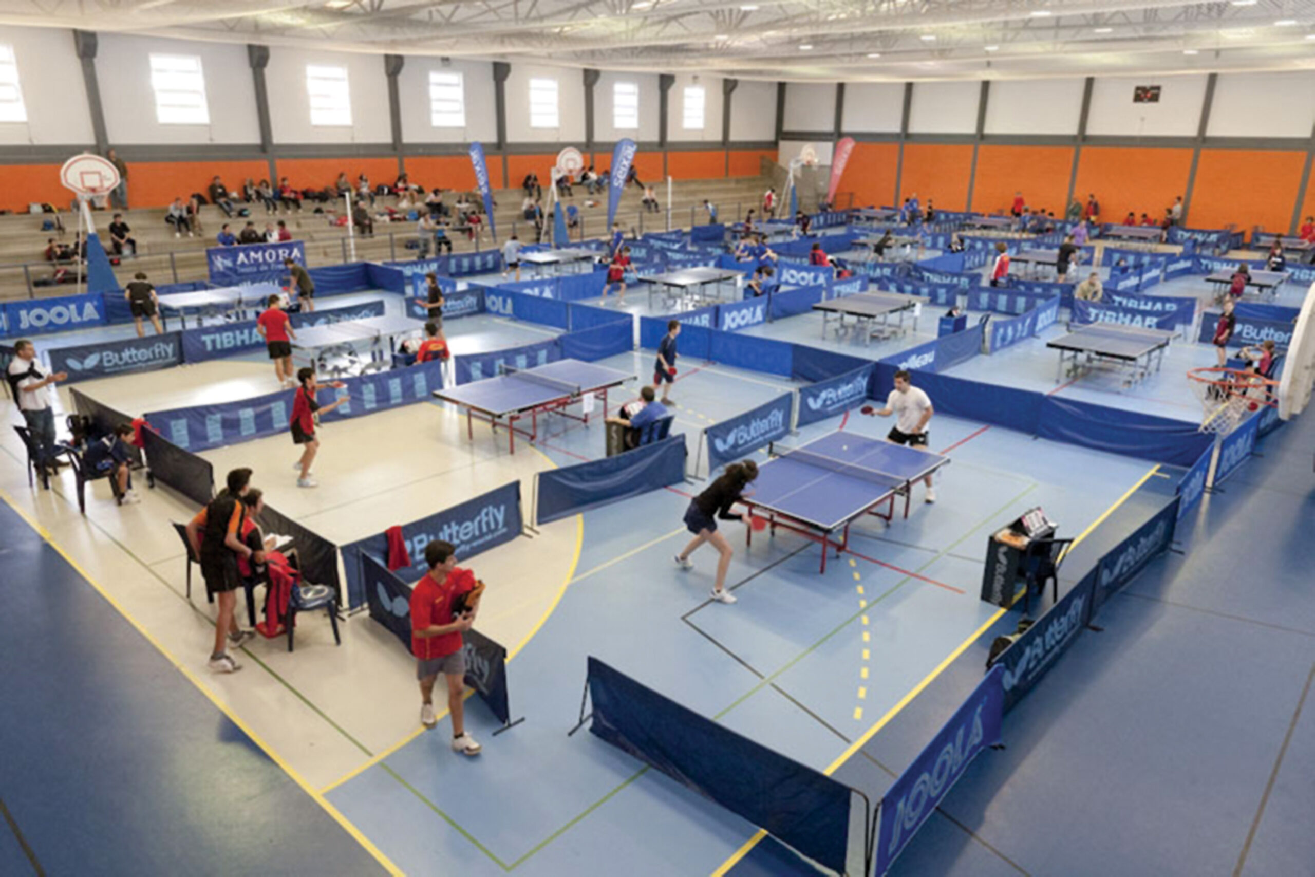 Cerca de 1.600 alunos juntos em Caminha e Viana nos campeonatos nacionais escolares juvenis 2019/2020