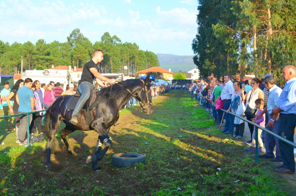 Cerca de 400 expositores na Feira dos Santos em Cerdal nos dias 01 e 02 de novembro