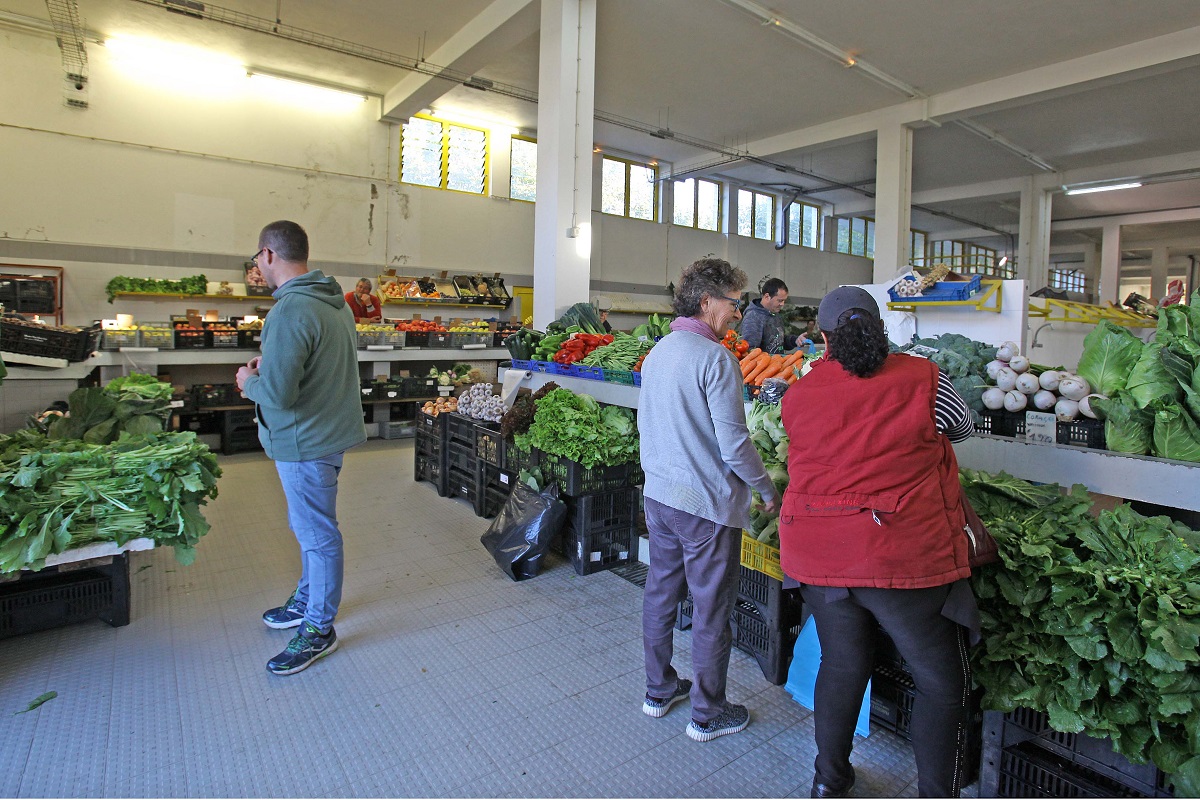 Produtores agrícolas têm espaços gratuitos no mercado municipal de Melgaço