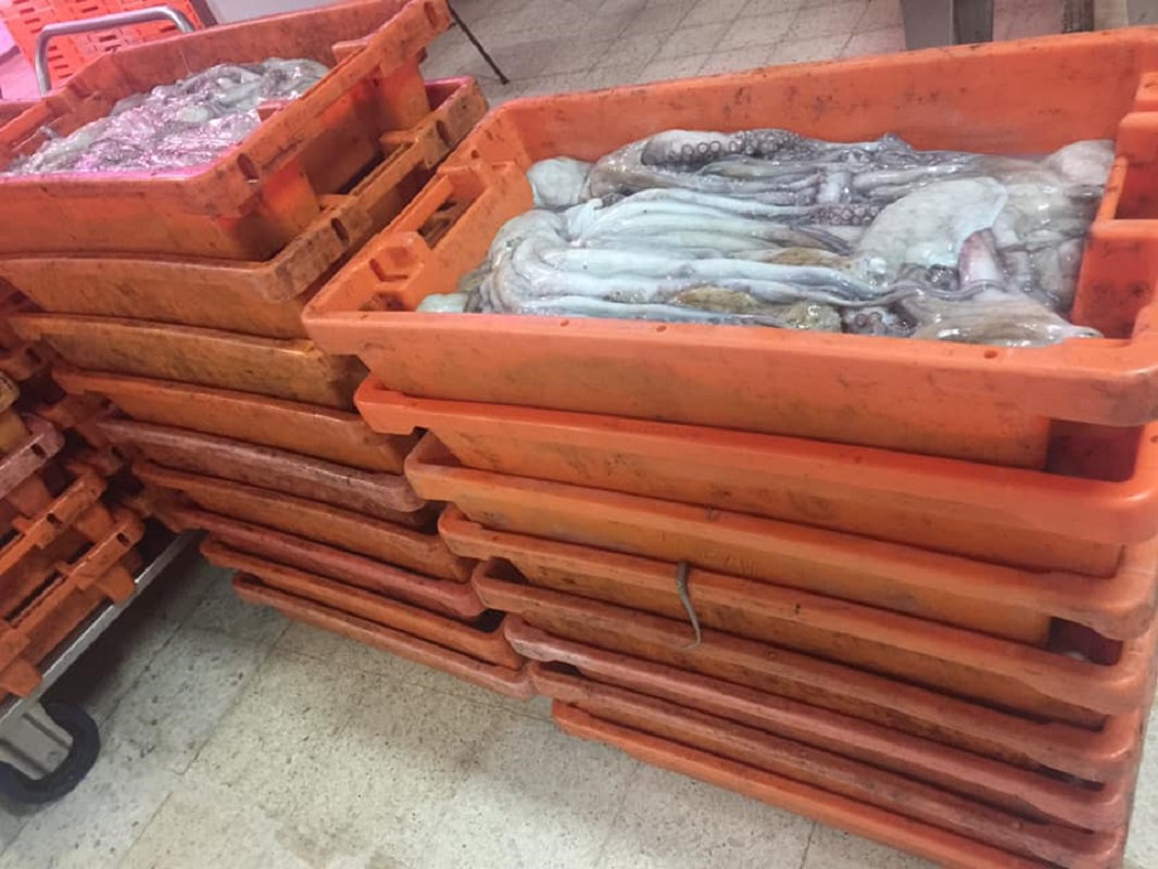 GNR apreende em Darque 217 quilos de pescado, no valor de 2.040 euros, por fuga à lota
