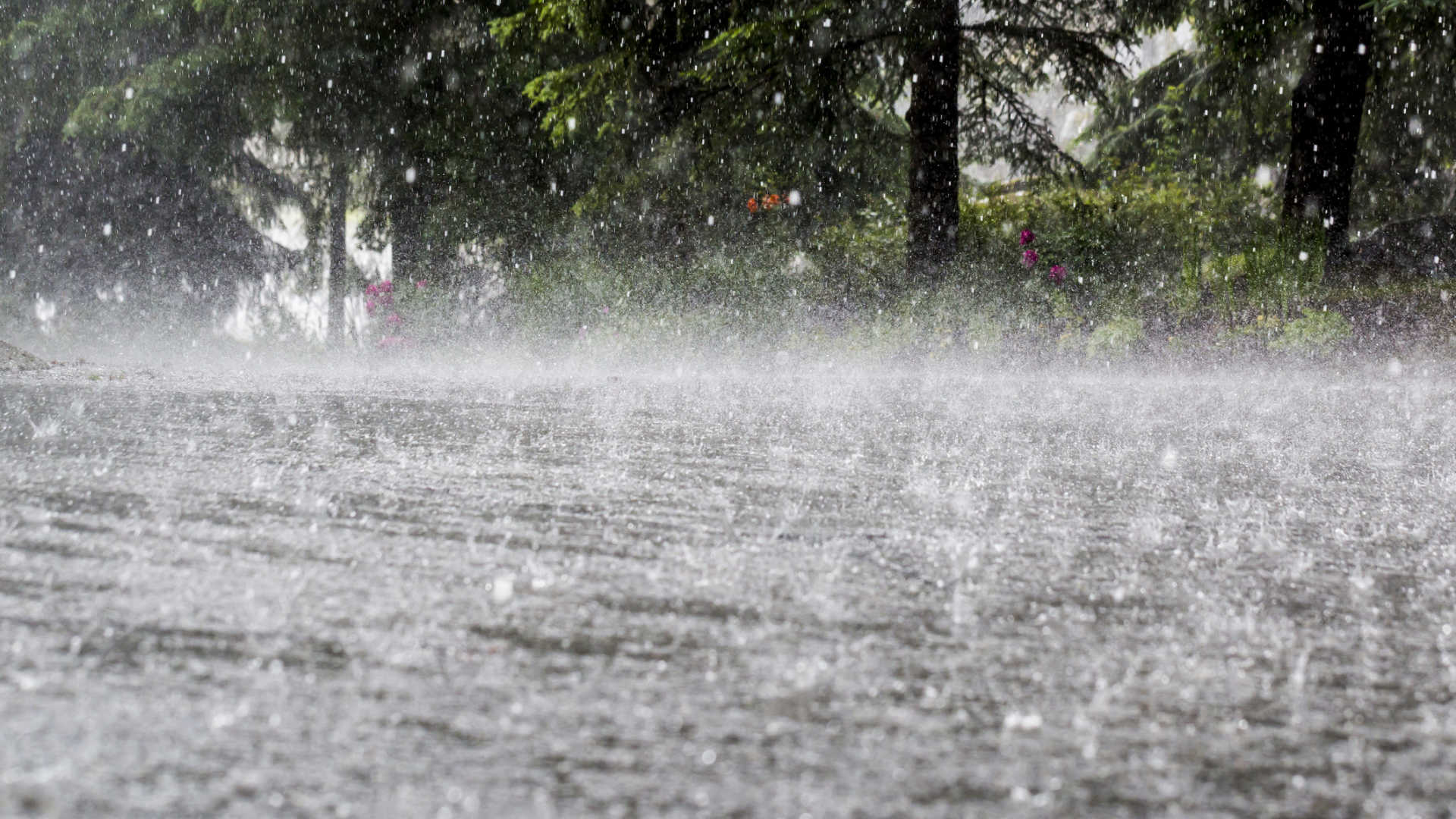 Viana do Castelo sob aviso vermelho devido à chuva forte