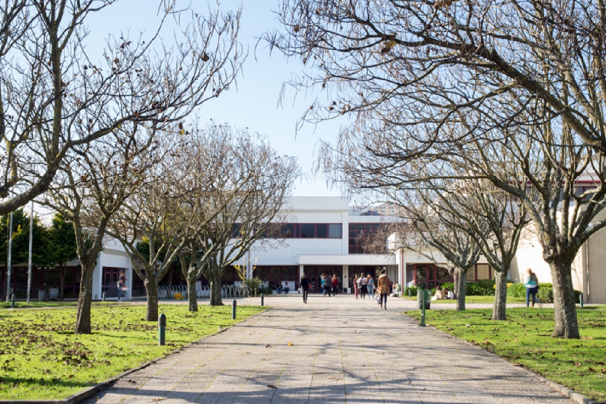 Politécnico de Viana apresenta projeto “Design da experiência: Somos o que Comemos”