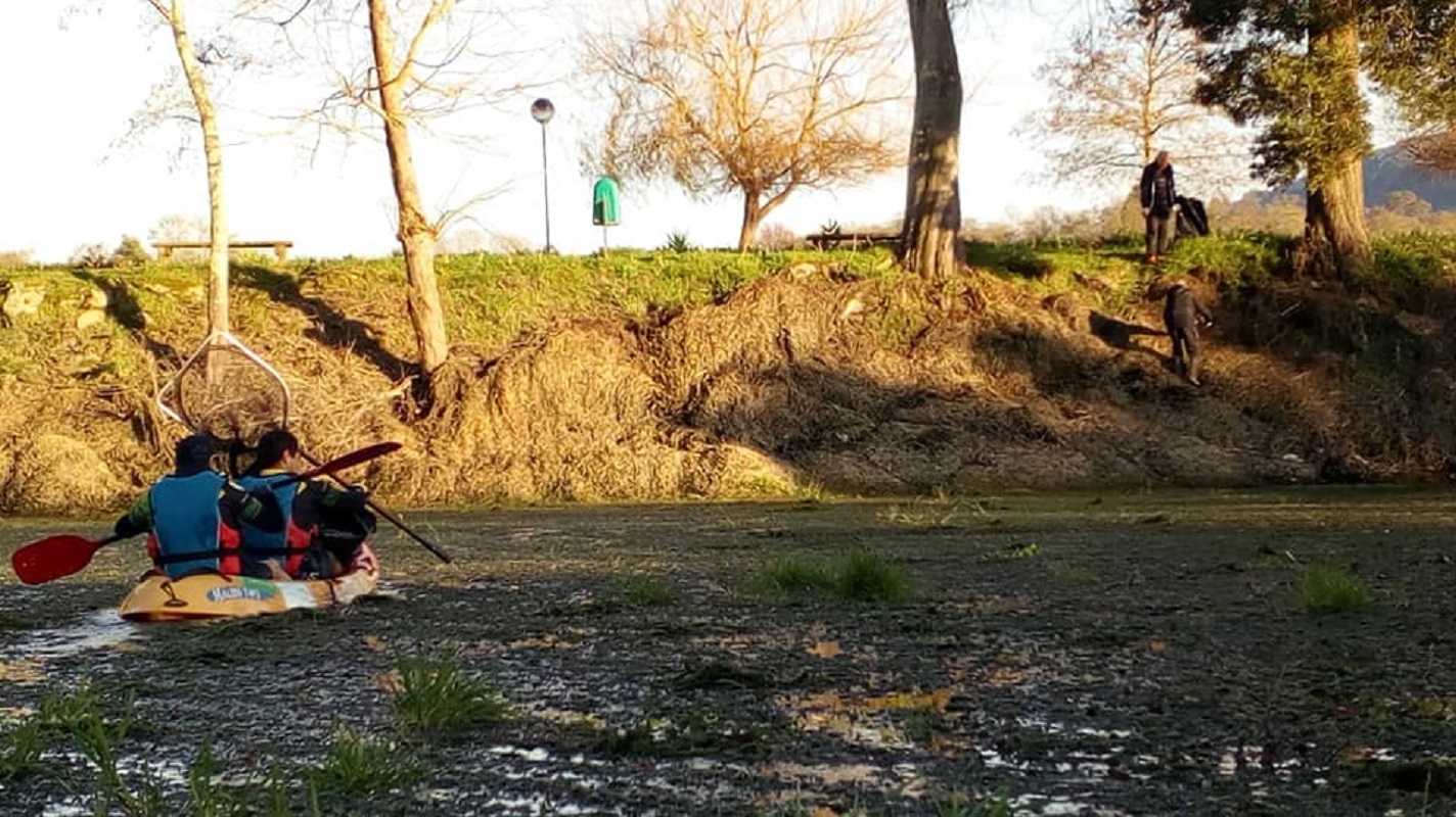 Mais de 100 quilos de lixo retirados do rio Minho pela associação Cerveira Team Running