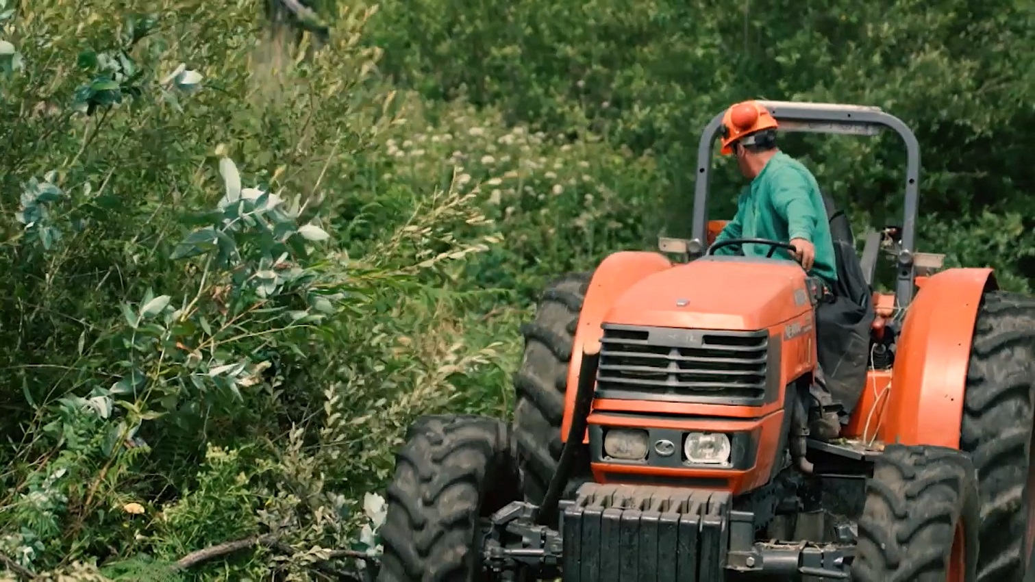 EDP Distribuição desenvolve projetos na defesa e proteção do património florestal