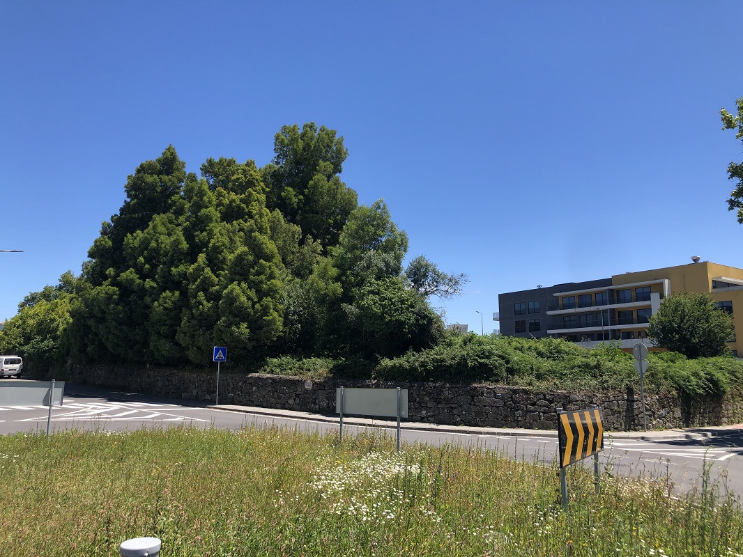 Autarca de Viana aponta 1º trimestre de 2021 para arranque da construção do novo centro de saúde da Meadela