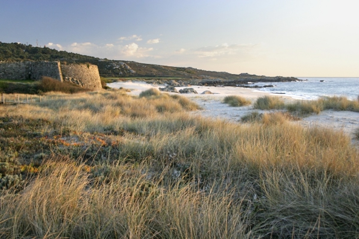 Praias de Paçô e Ínsua em Viana do Castelo com distinção “ZERO poluição”