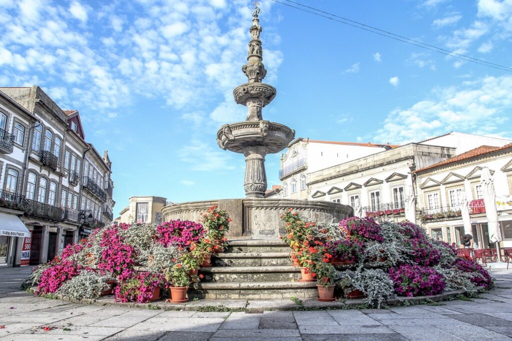 Programa municipal “Florir o Centro histórico” decora varandas e fachadas com 2.000 vasos floridos