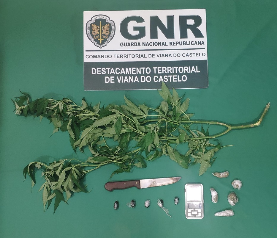 GNR deteve dois jovens por tráfico de estupefacientes no concelho de Viana do Castelo