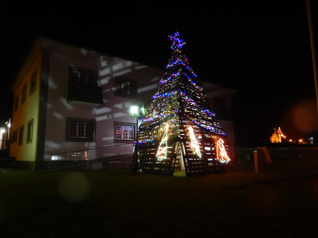 Árvore de Natal feita com materiais reciclados brilha em Carreço