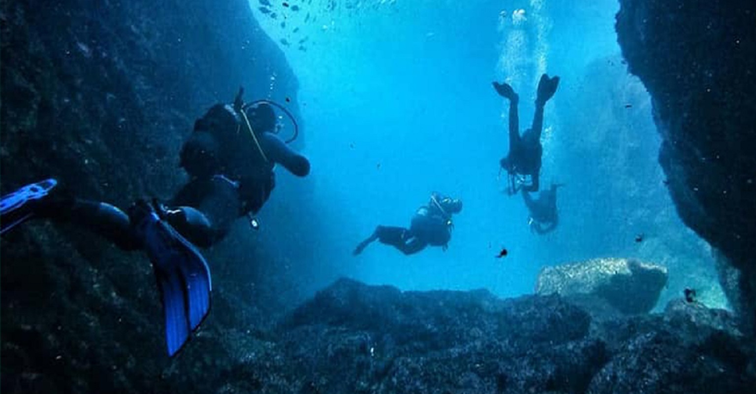 Escolas aderem a mergulho virtual pela biodiversidade dos oceanos