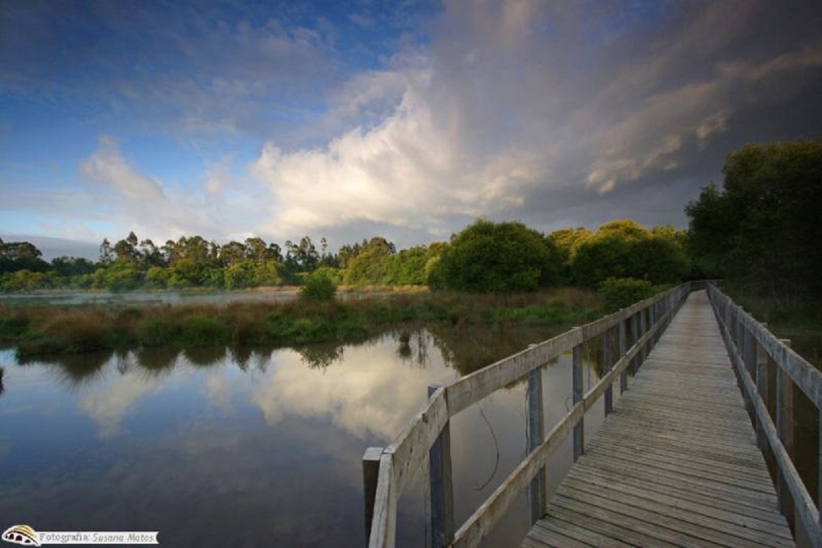 Ponte de Lima inserido no Programa Europeu Horizon 2020