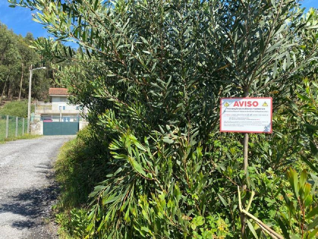 GNR promove Campanha Floresta Segura 2021