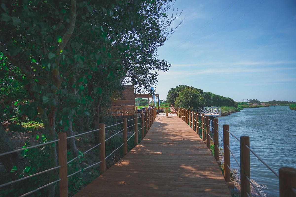 Projeto “Hora Verde” promove envelhecimento mais ativo e inclusivo
