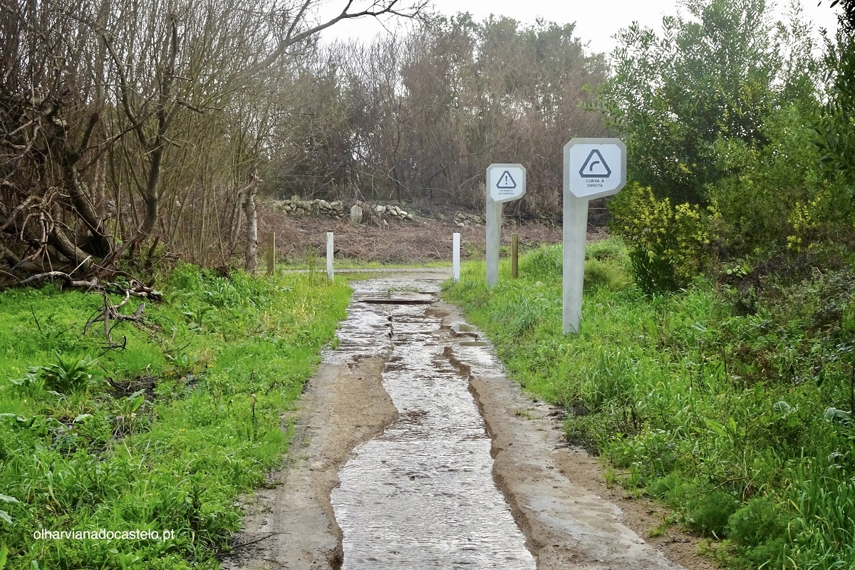 Acionada garantia de obra para reparar troço de ecovia de Viana do Castelo