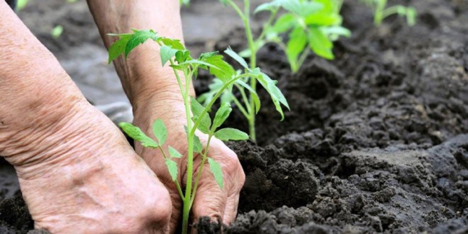 “Crise política não pode ser utilizada para provocar mais prejuízos à Agricultura Familiar”